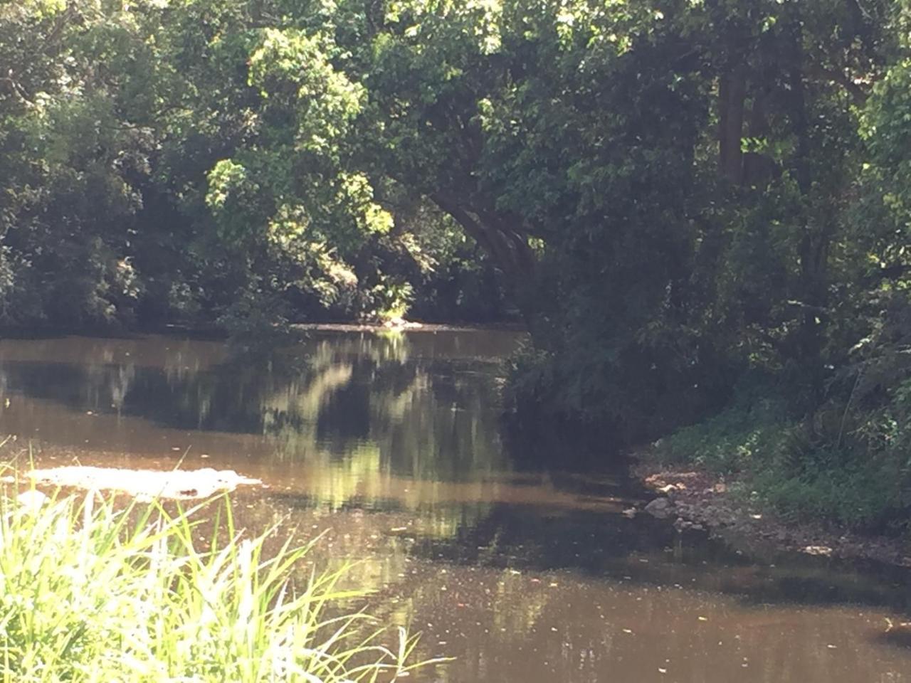 Yandina Caravan Park Екстериор снимка